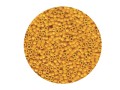 Miyuki Delica Beads Squash opaque 11/0 - 2mm - 5g