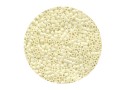 Miyuki Delica Beads opaque luster Eggshell 11/0 - 2mm - 5g