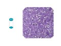 Twin Bead - Crystal inside Purple - 10g