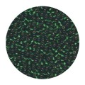 Miyuki - Round 11/0 - Green Silver Lined - 10g