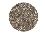 Miyuki Duracoat Delica Galvanized Silver 11/0 - 2mm - 5g