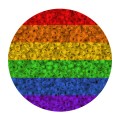 Rocaillesmix Regenbogen 6 x 10g