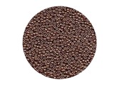Miyuki Rocailles Duracoat Dark Mauve 15/0 - 1,5mm - 5g