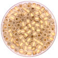 TOHO - Round 6/0 - Gold-Lined Frosted Crystal