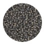 Miyuki - Round 11/0 - Dyed Rustic Grey Silver Lined Alabster - 10g