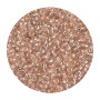 Miyuki - Round 11/0 - Pale Rose Silver Lined - 10g