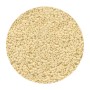 Miyuki Delica 11/0 - Opaque Cream Matted - 5g
