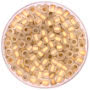 TOHO - Round 6/0 - Gold-Lined Frosted Crystal